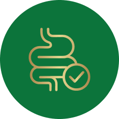 Gut & Metabolic Health