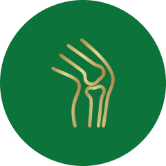 Inflammation & Joint Care