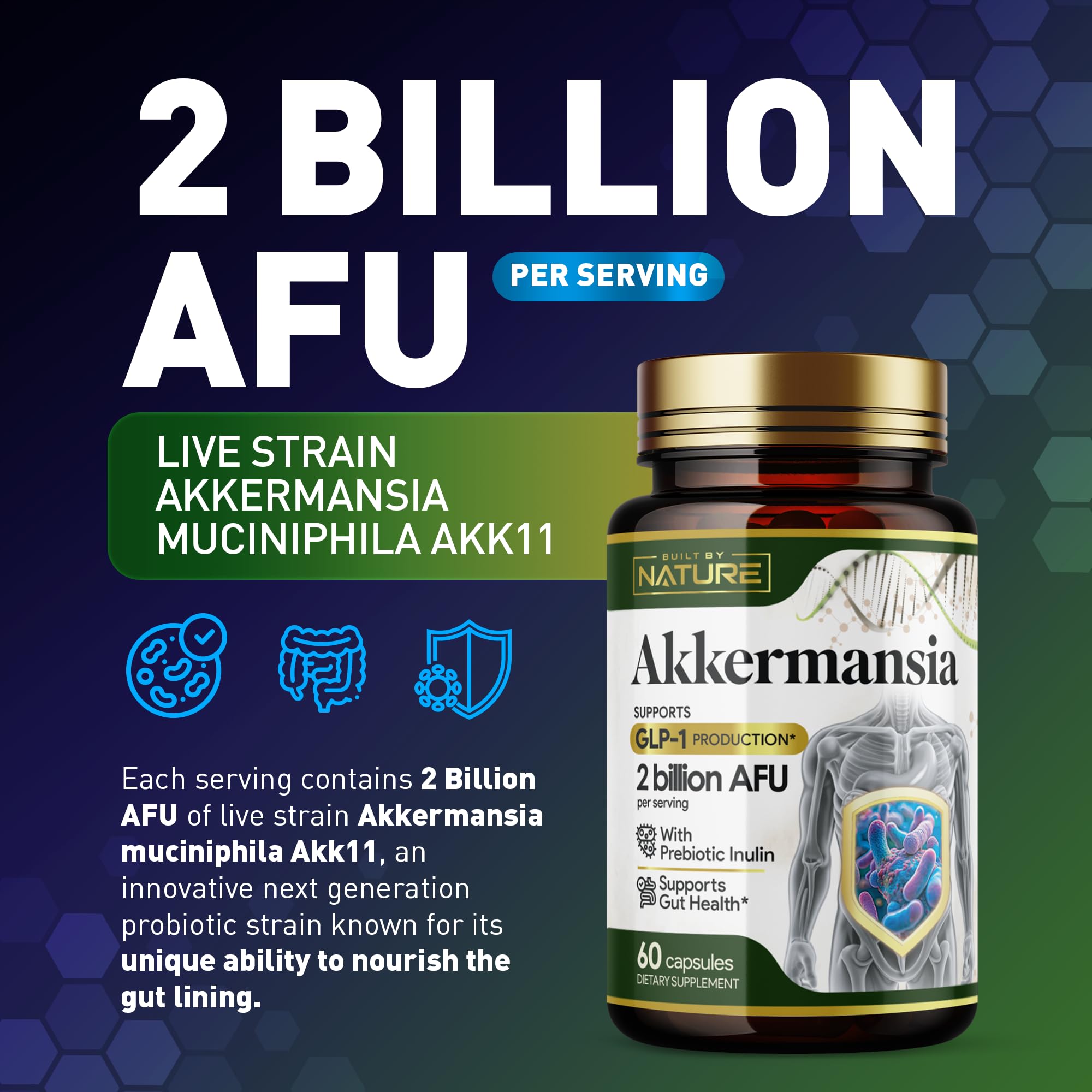 Built by Nature Akkermansia Muciniphila Probiotic Supplement – 2 Billion AFU - Supports GLP-1, Immune & Digestive Gut Health - 120 Delayed Release Capsules