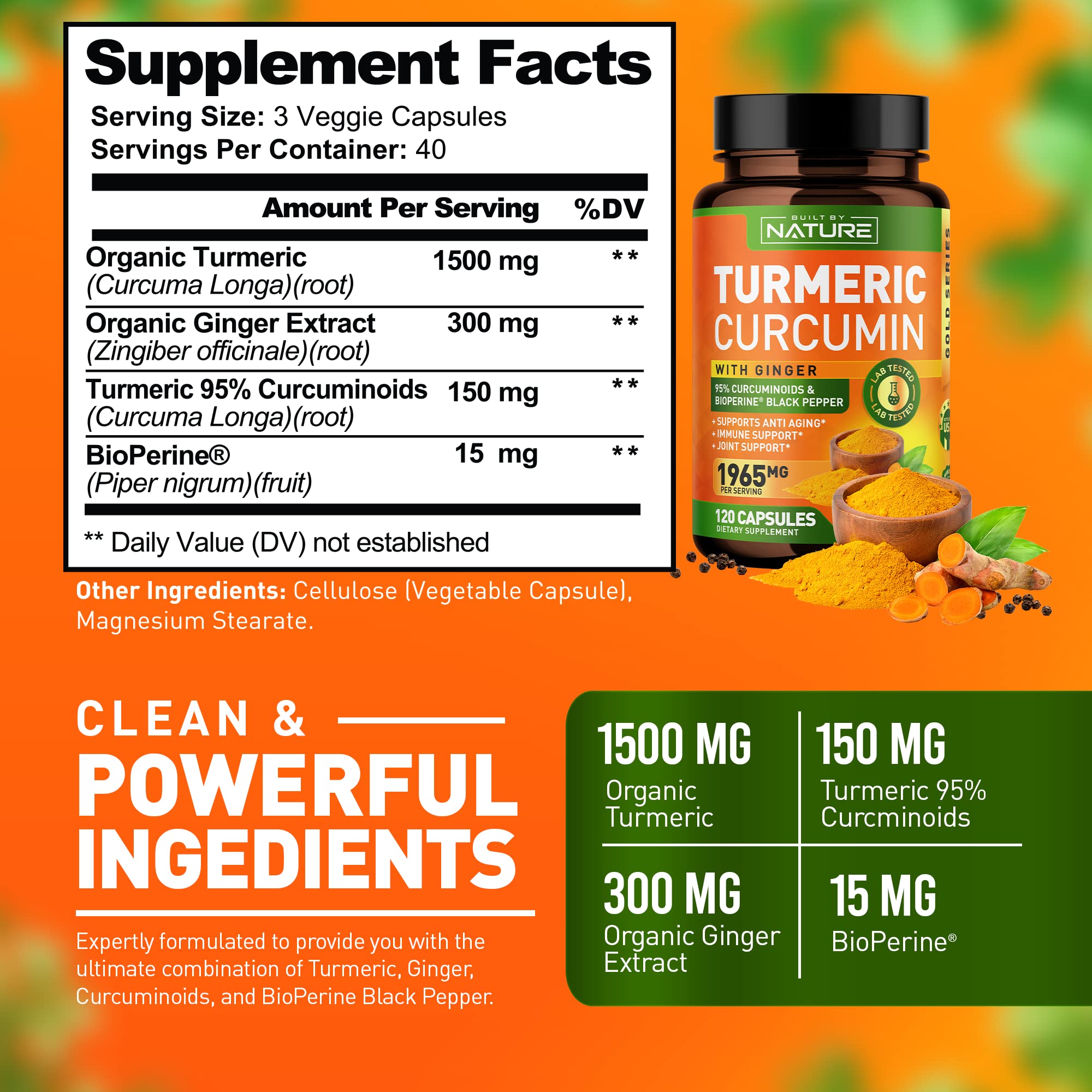 Turmeric Curcumin 1965mg with Ginger & BioPerine Black Pepper Extract - High Absorption 95% Curcuminoids for Joint & Antioxidant Support - Non-GMO, Gluten-Free, Vegan - 120 Herbal Supplement Capsules