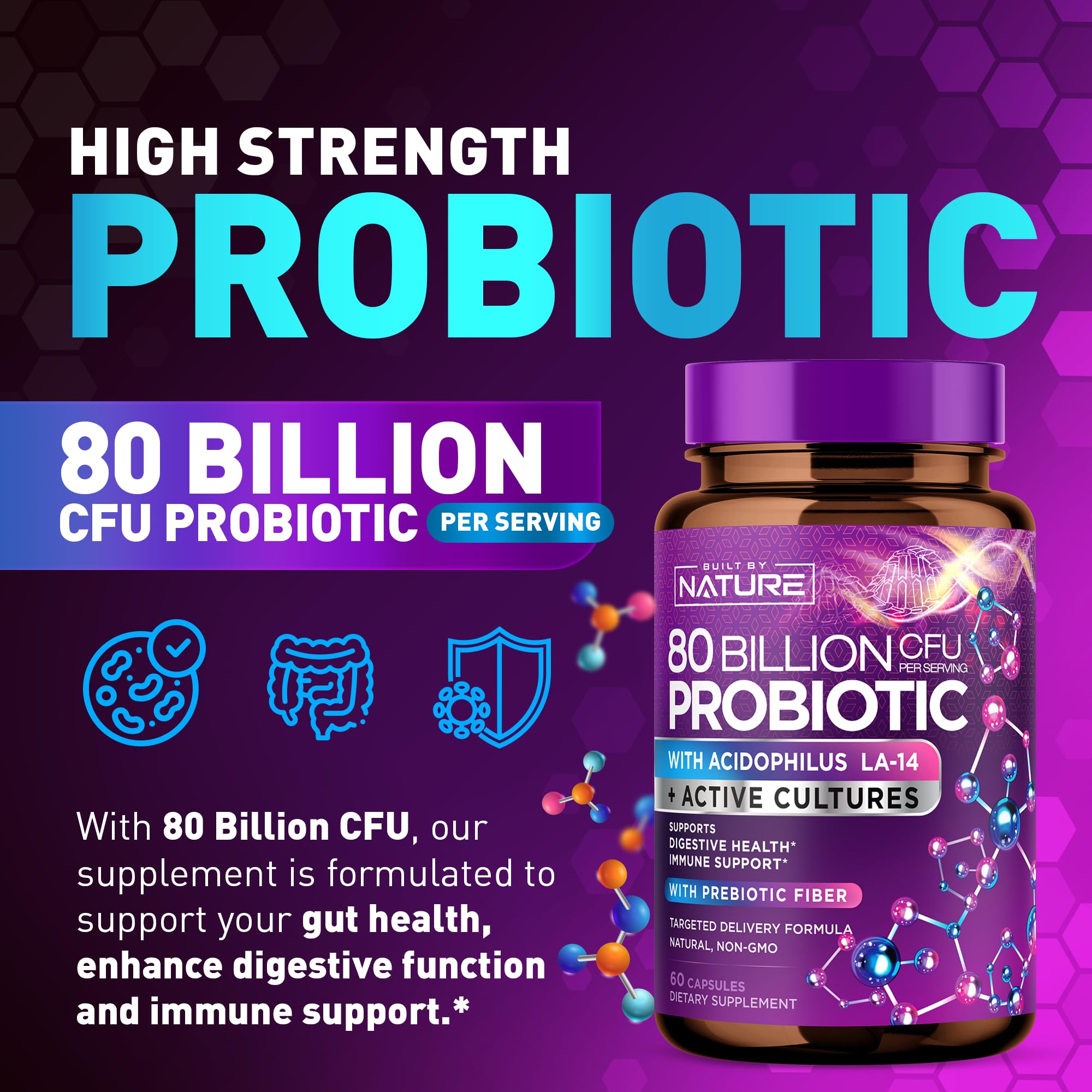 80 Billion CFU Probiotic - Daily Digestive Gut Health Supplement for Men & Women - Lactobacillus acidophilus, Bifidobacterium & Prebiotics - Non-GMO, Gluten & Dairy Free, Shelf-Stable - 60 Capsules