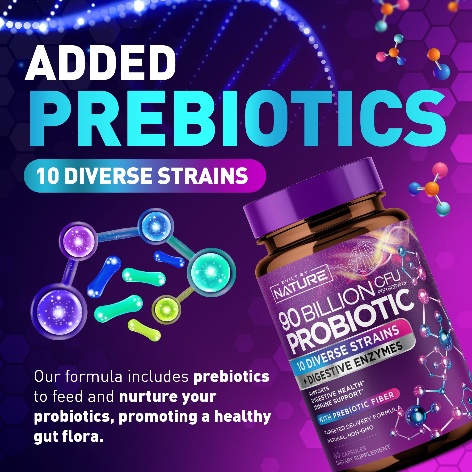 80 Billion CFU Probiotic - Daily Digestive Gut Health Supplement for Men & Women - Lactobacillus acidophilus, Bifidobacterium & Prebiotics - Non-GMO, Gluten & Dairy Free, Shelf-Stable - 60 Capsules