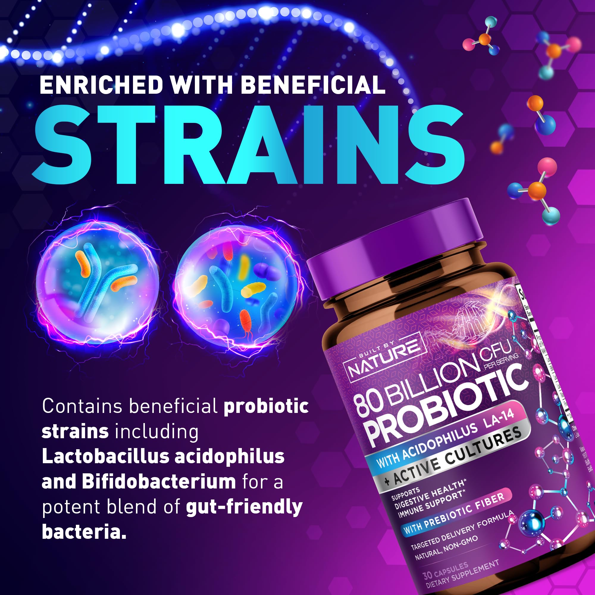 80 Billion CFU Probiotic - Daily Digestive Gut Health Supplement for Men & Women - Lactobacillus acidophilus, Bifidobacterium & Prebiotics - Non-GMO, Gluten & Dairy Free, Shelf-Stable - 60 Capsules