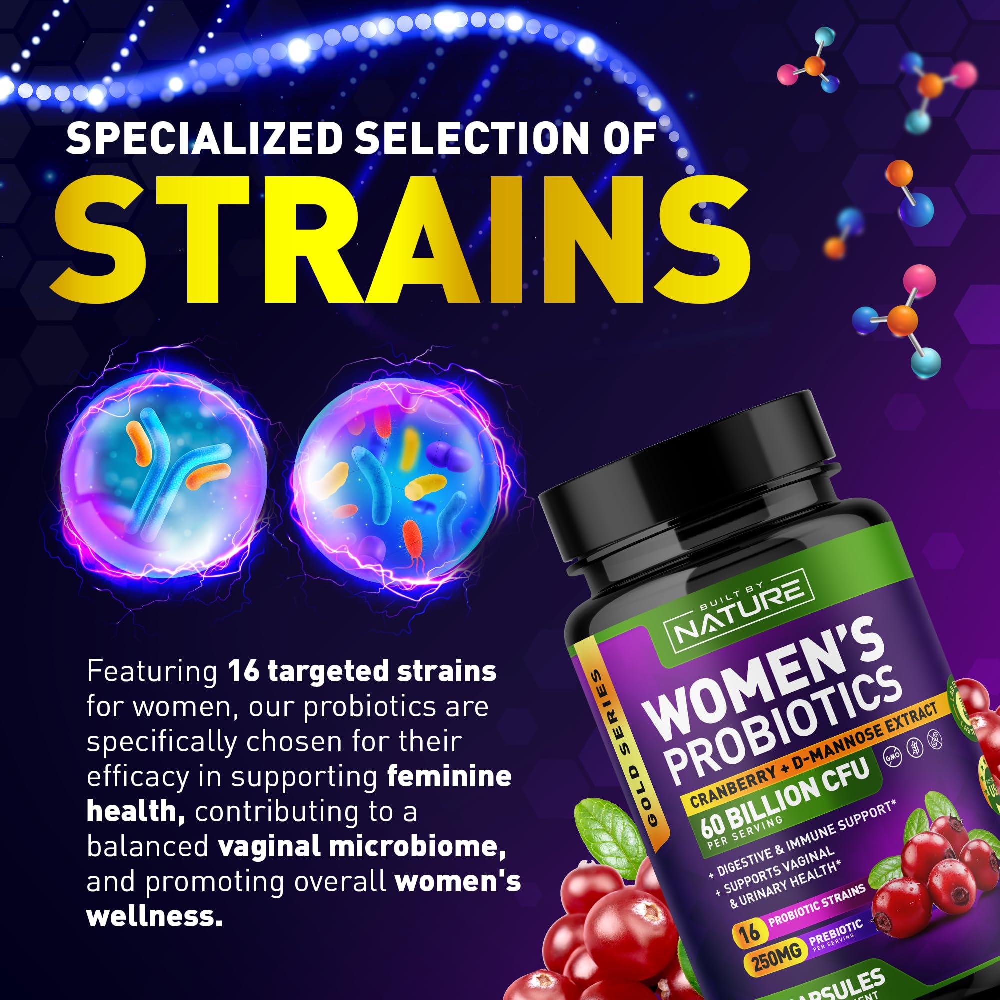 Built by Nature Probiotics for Women - 60 Billion CFUs, 16 Strains, with Cranberry, D-Mannose & Prebiotics - Supports Digestive, Immune, & Vaginal Health - Non-GMO, Dairy & Gluten-Free