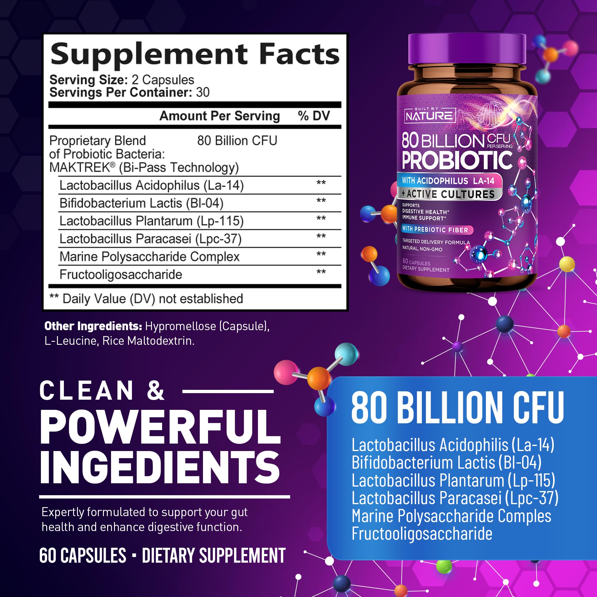 80 Billion CFU Probiotic - Daily Digestive Gut Health Supplement for Men & Women - Lactobacillus acidophilus, Bifidobacterium & Prebiotics - Non-GMO, Gluten & Dairy Free, Shelf-Stable - 60 Capsules